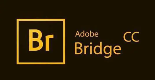 Adobe Bridge(Br)2021 软件下载及安装教程(含全版本)一分钟安装