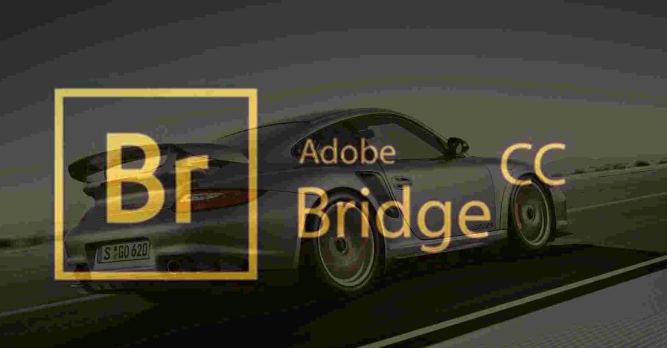 图像管理软件Adobe Bridge 2020 破解直装详细安装教程