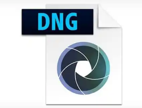 Adobe DNG Converter 17.0：RAW 格式转换的绝佳选择