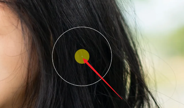 1731722138852600.png image.png