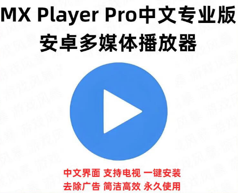 MX Player Pro V1.93.3 最新版 播放器 大佬魔改，懂的都懂~