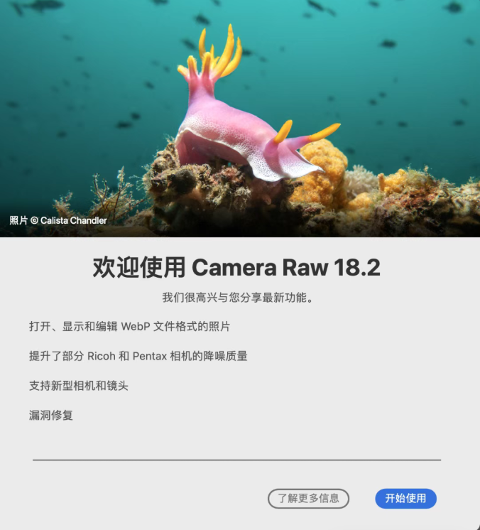 Camera Raw 18.2.2 全解析：WebP 原生支持来了，稳定性拉满